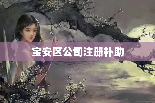 寶安區公司注冊補助