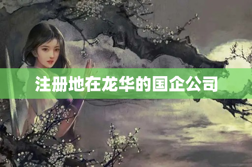 注冊地在龍華的國企公司