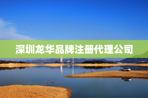 深圳龍華品牌注冊代理公司