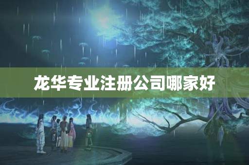 龍華專業(yè)注冊(cè)公司哪家好