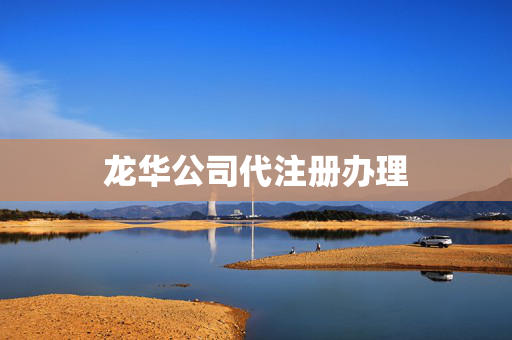 龍華公司代注冊辦理
