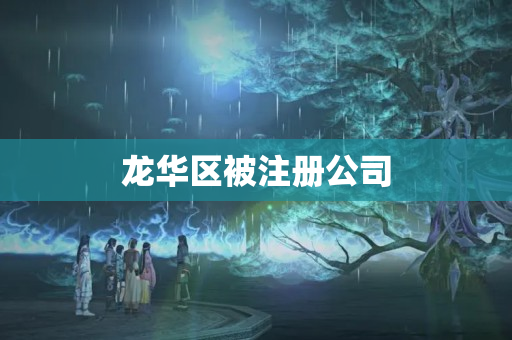 龍華區被注冊公司