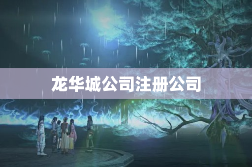 龍華城公司注冊公司