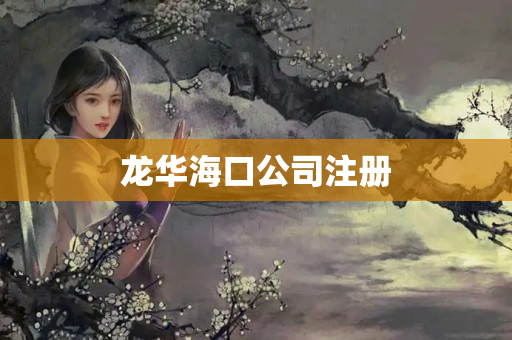 龍華海口公司注冊